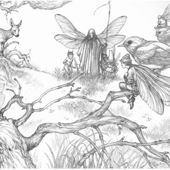 Coloring Fairies: Featuring the Artwork of Celebrated Illustrator Niroot Putta - Picture 7 of 8
